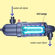 UVC-filter voor de vijver